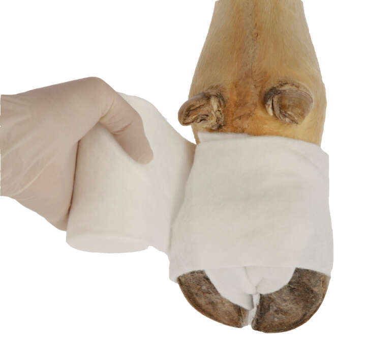 KERBL Polsterbinde Cottino-Star